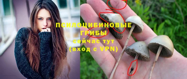индика Алексеевка